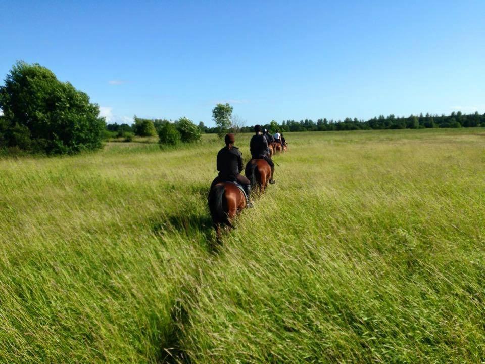 Sassi Talu Horsefarm Hotell Pärnumaa Exteriör bild