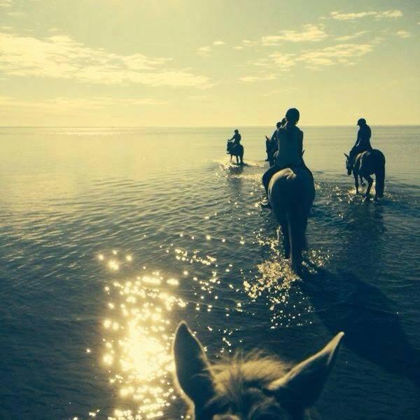 Sassi Talu Horsefarm Hotell Pärnumaa Exteriör bild