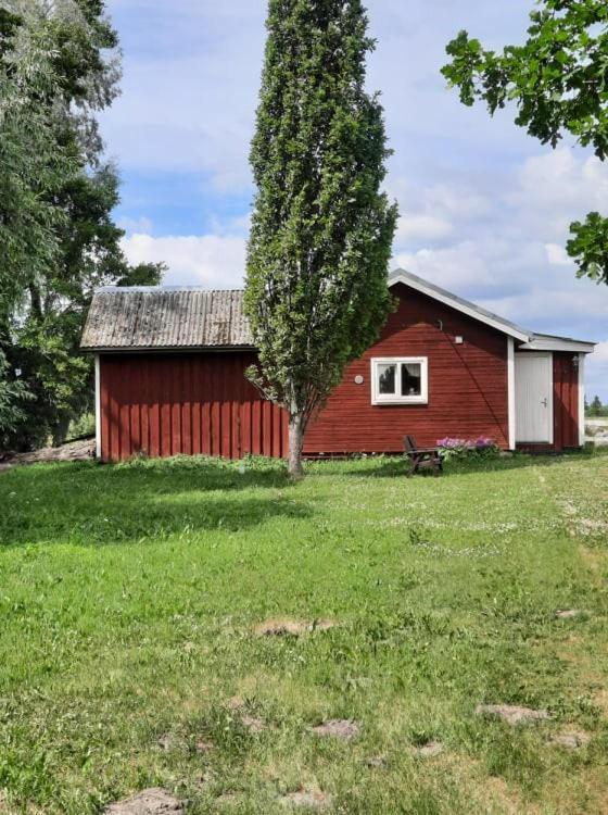 Sassi Talu Horsefarm Hotell Pärnumaa Exteriör bild