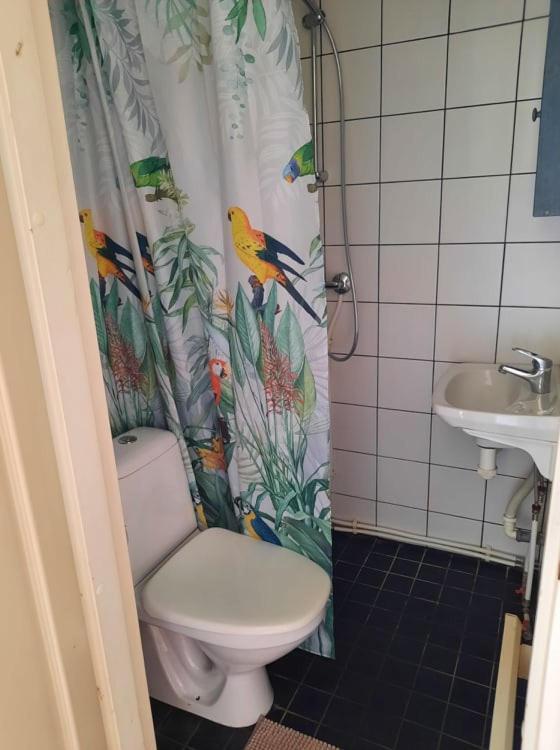 Sassi Talu Horsefarm Hotell Pärnumaa Exteriör bild